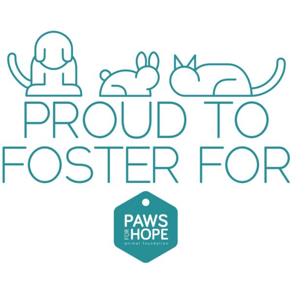 Proud to Foster Thumbnail